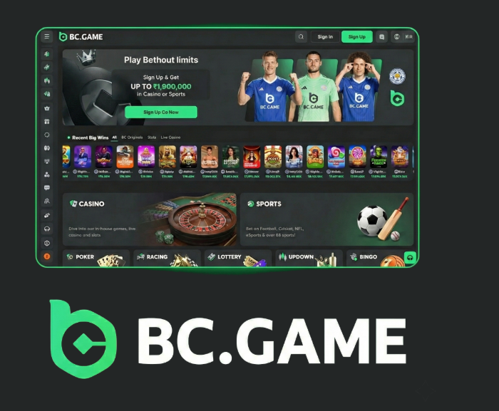 Guide to BC.Game Registration Step-by-Step Process